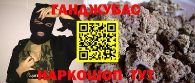 гидра Кингисепп