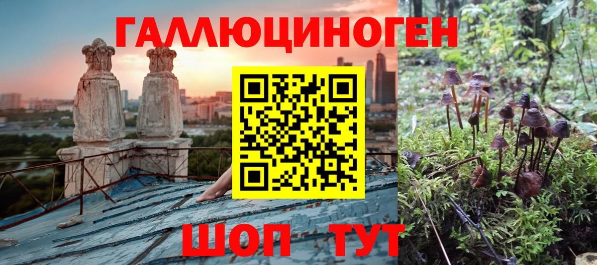 Галлюциногенные грибы MAGIC MUSHROOMS Волхов