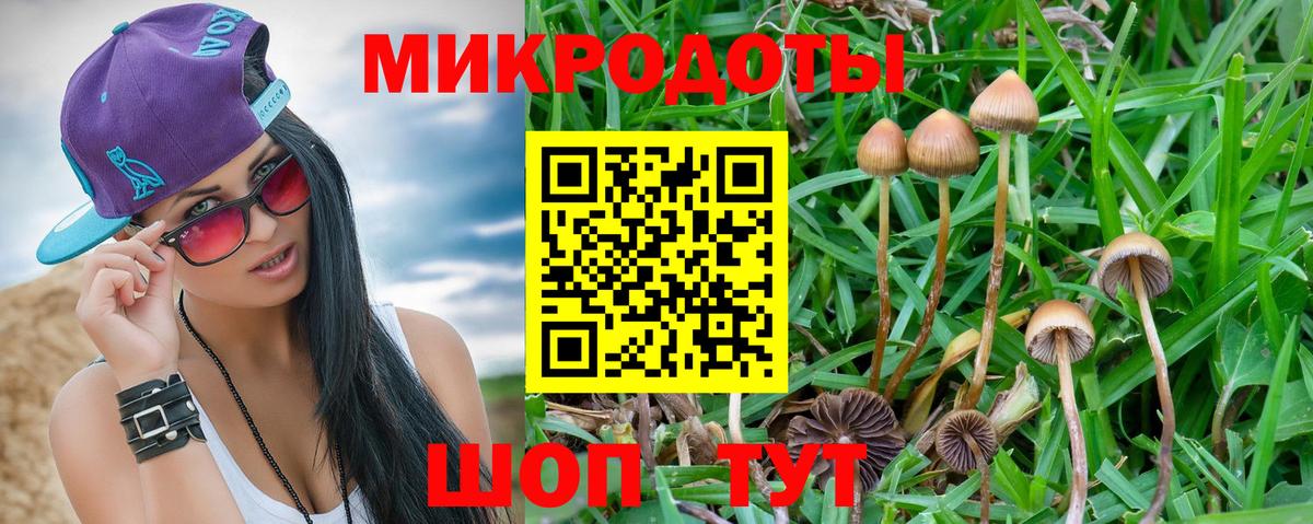 Псилоцибиновые грибы Psilocybe  Галлюциногенные грибы Psilocybe  Волхов  Вход с VPN 